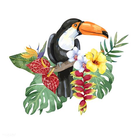 Hand Drawn Toucan Bird With Tropical Flowers Premium Image By