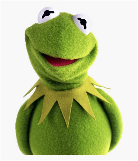 Kermit Frog Muppets Kermit The Frog Png Transparent