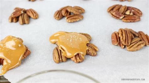 Homemade turtle candies are a sweet, chewy, and crunchy dessert, make with pecan clusters coated in caramel and drizzled with melted chocolate. Homemade Turtle Candies Recipe - Everyday Shortcuts
