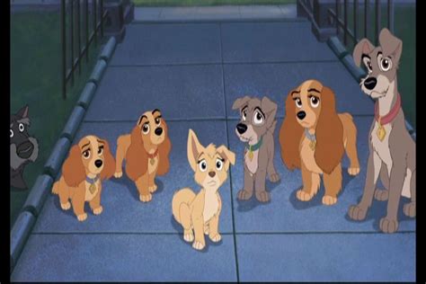 What Kind Of Dog Is The Dog In Lady And The Tramp Pets Lovers