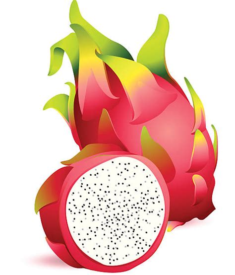 Royalty Free Dragon Fruit Clip Art Vector Images And Illustrations Istock