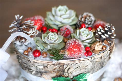 A Beautiful Diy Succulent Centerpiece For Your Christmas Table