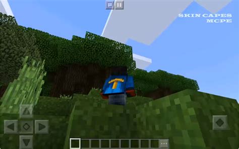 Custom Skin In Capes For Mcpe Apk 100 Download For