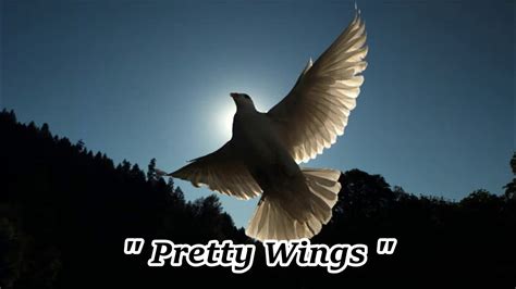 Pretty Wings Youtube