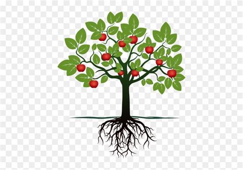 Fruit Tree With Roots Free Transparent Png Clipart Images Download