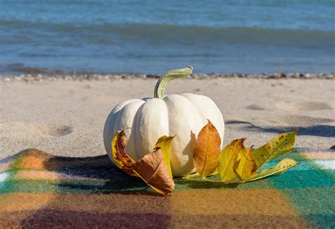 Fall Events And Festivals Around Myrtle Beach And Why It Is Our Best Season