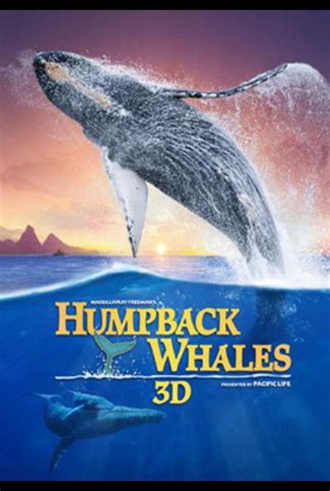 humpback whales buckelwale im pazifik film trailer kritik