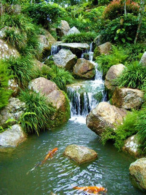 Backyard Waterfalls For Your Outdoor Z Garden Aquascapingrain