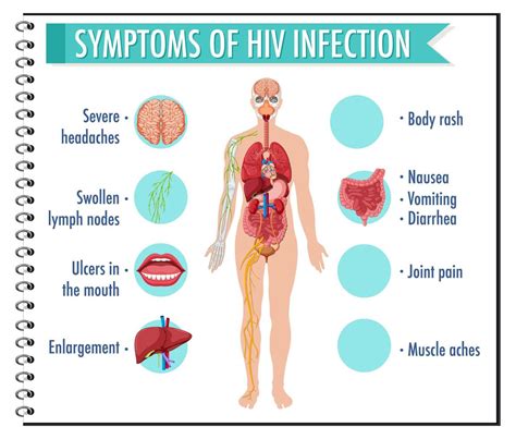Symptoms Of Hiv Infection Infographic 1845186 Vector Art At Vecteezy