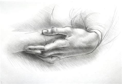 Study Of Hands By Leonardo Da Vinci Drawing By Alina Borisova Saatchi Art