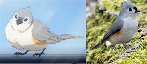 Eden of the east discussion. Pretty sure the bird we keep seeing in the Banana Fish anime is a tufted titmouse and it does ...