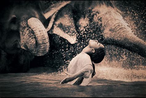 From The Ashes And Snow Exhibition Photographer Gregory Colbert