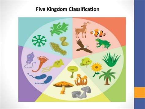 FIVE KINGDOM CLASSIFICATION-RH Whittaker