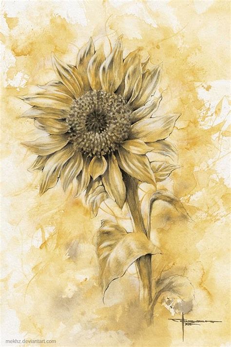 Beautiful Watercolor Paintings By Mekhz Sunflower Art Watercolor