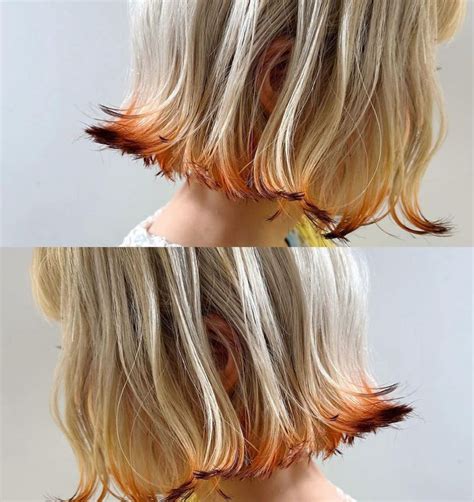 Pin By Clara Jouy On Enregistrements Rapides In 2024 Fox Hair Dye