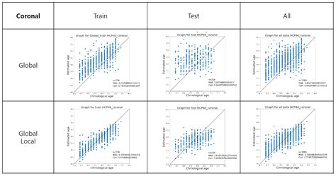 GitHub Domwis IR SWC Capstone Design Decentralized Brain Age Estimation Using MRI Data