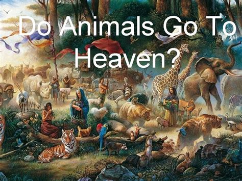 Bible Verses That Prove Animals Go To Heaven Animalqf