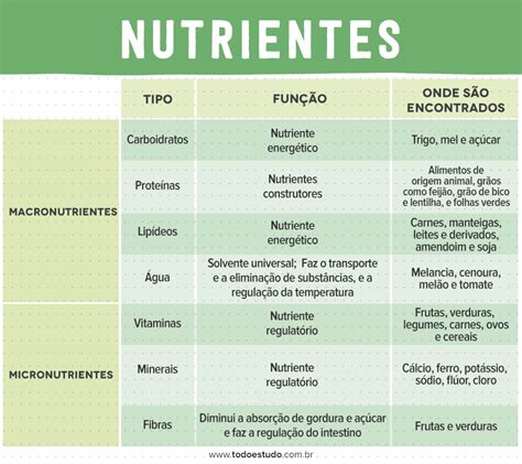Nutrientes Entenda A Sua Importância E Onde Podemos Encontrá Los