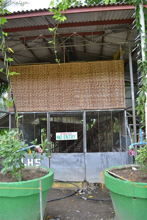 Fare is php10/head or php50 special. Destination Philippines: The Farm: Garin Farm, San Joaquin ...