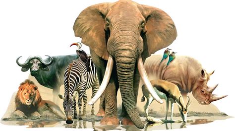 African Animals Africa Water Hole Animals Elephant Water Hd