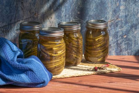 Easy Pickled Garlic Scapes Recipe 2023 Atonce