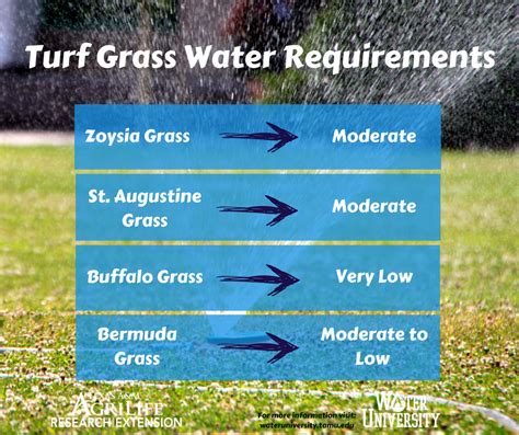 How much to irrigate a lawn. How much water should you use to irrigate your lawn? (With images) | Landscaping trees, Water ...