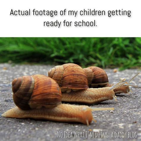 27 Hilarious Parenting Memes That Are Way Too Real ...