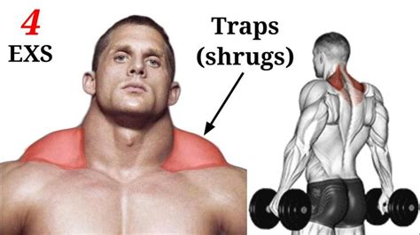 How To Build Bigger Traps Traps Shrugs Workout 4 Effective Exercise