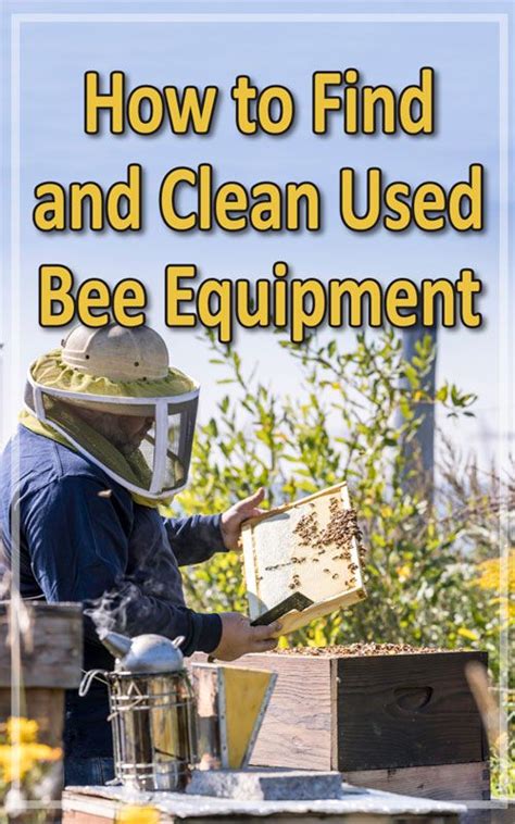 Becoming a beekeeper is a challenging yet rewarding experience. Frugal Beekeeping with Used Beekeeping Supplies | Bee ...