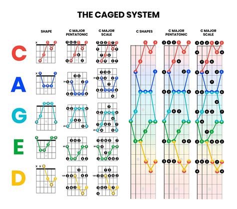 mastering triad shapes on guitar applying caged system caged for guitar pickup music