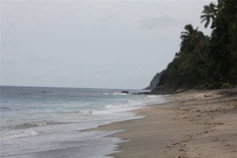 Beachfront View With Beach Waves White Sand And Green Cliffs Overgrown