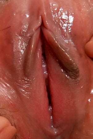 POV Vagina Close Up Pics XHamster