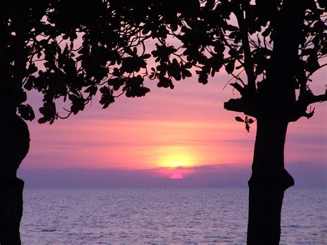 Free Images Sea Tree Horizon Silhouette Sunrise Sunset Sunlight