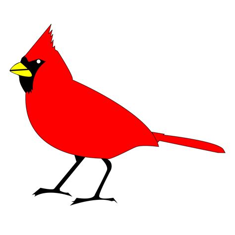 Download Cardinal Svg For Free Designlooter 2020 👨‍🎨