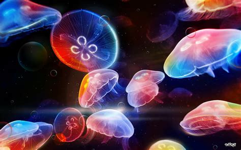 Hd Wallpaper Underwater Jellyfish 4k 8k Blue Colored Background No