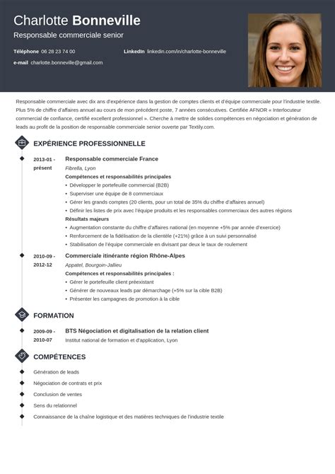 Exemple De Cv Commercial Pdf  doniemas