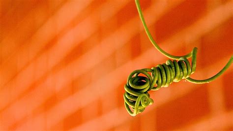 Creative New Ways To Land Your Dream Job - Fast Company