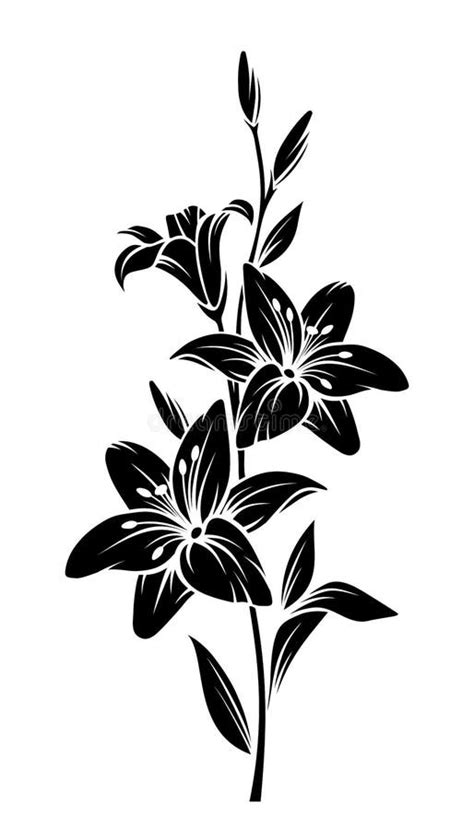 Lily Flowers Vector Black Silhouette Stock Vector Illustration Of