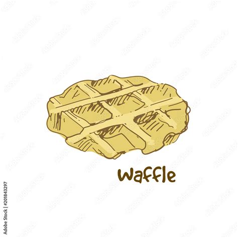Hand Drawn Waffle Sketch Vector Illustration Stock Vector Adobe Stock