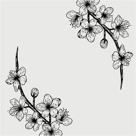 Sakura Cherry Blossom Branch Line Art Flowers Or Isolated Flying