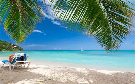 Beach Summer Tropical Sea Nature Landscape Caribbean Palm Trees Sand Vacations