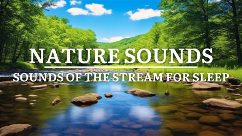 Relaxing Natural Sounds The Sound Of Forest Streams Helps Relax The