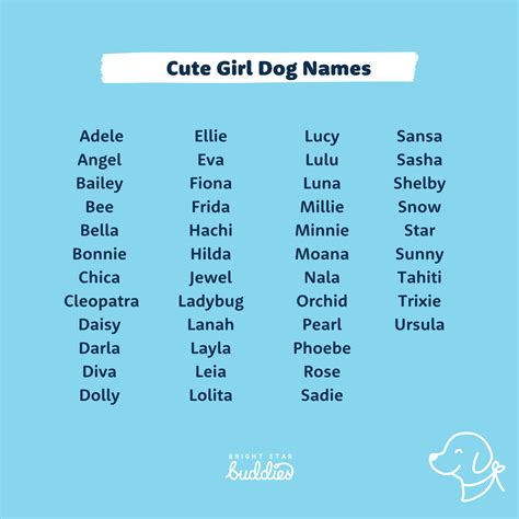 Top 200 Dog Names Cute Dog Names Youll Love Bsb
