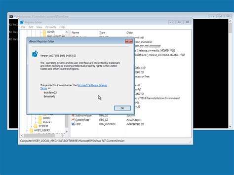 Windows 10100143930rs1 Release Srvmedia160808 1702 Betaworld 百科