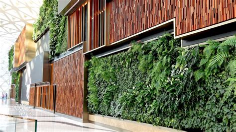 Plants On Walls Easy Affordable Living Walls You Can Grow