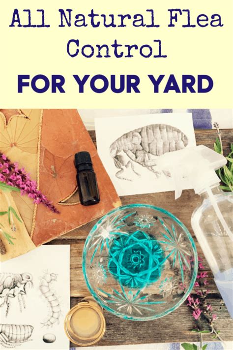 Choose fogging as your best option if you find fruit flies or gnats have infested a large area to clear. Kill Fleas in the Yard: 5 Weird Tricks that Work! | Fleas ...
