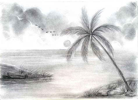Palma Disegno Da Colorare - Entusiasmanti Design