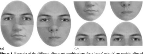 figure 1 from the role of holistic processing in judgments of facial attractiveness semantic