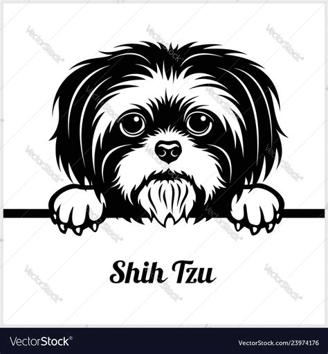 Shih Tzu Peeking Dogs Breed Face Head Vector Image