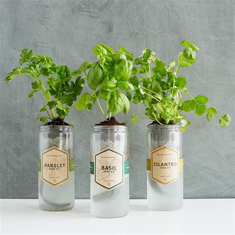 It comes with 10 popular culinary herb seeds , biodegradable plant pots, waterproof trays, and growing medium to plant the. Kitchen Essentials Herb Planter | Indoor Herb Planter, Grow Herbs Indoors | UncommonGoods